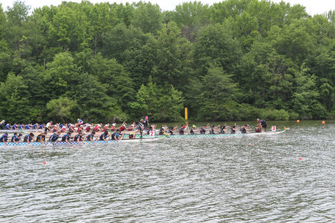 Machestic Dragons to host 10th Annual “Paddle for Pink” Community Dragon Boat Festival