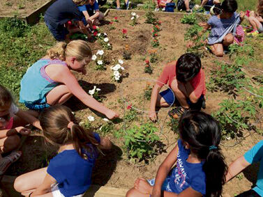 Sharon Green Team receives $3