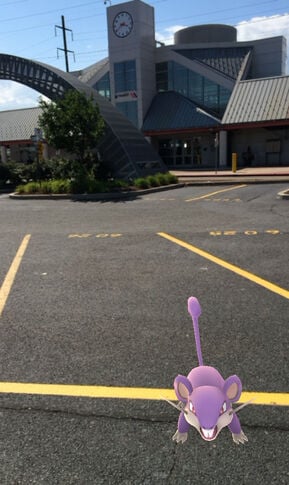 The adventures of playing Pokemon Go in Hamilton Township