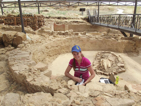 Hopewell engineer blends science and art to preserve famous artifacts