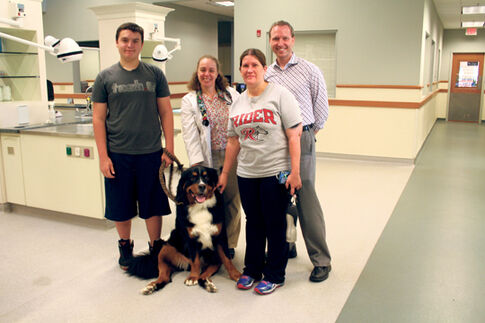For pet blood bank, little donations go a long way