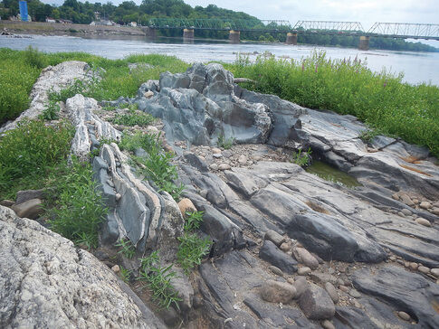 A true-life island adventure in downtown Trenton