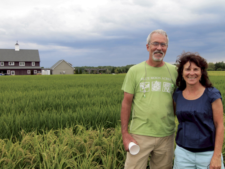 How Blue Moon Acres Farm became a field-grown rice pioneer