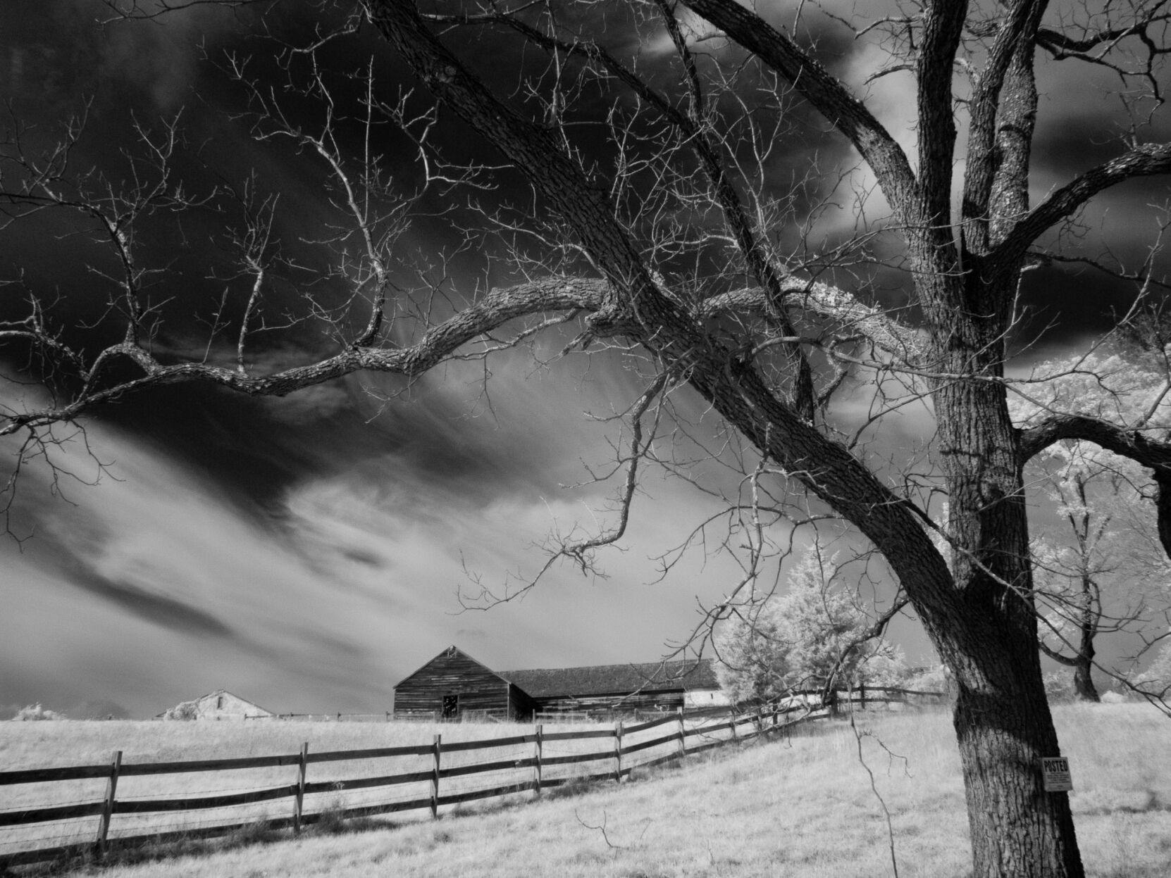 Geisler_Old Barn_16x20