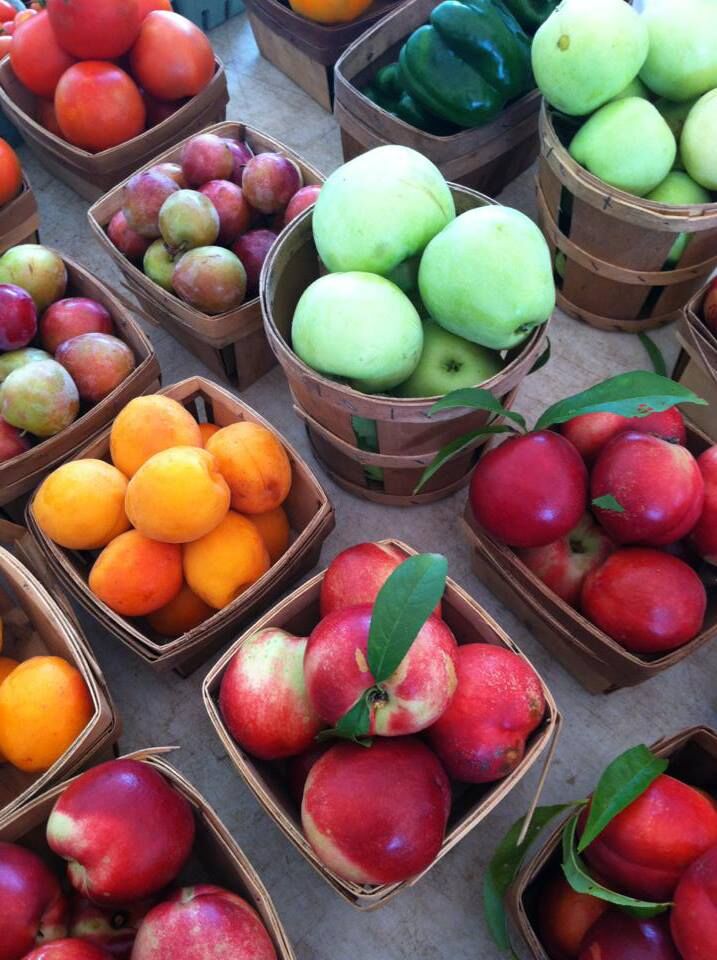 67902_622725017747286_1864769440_n