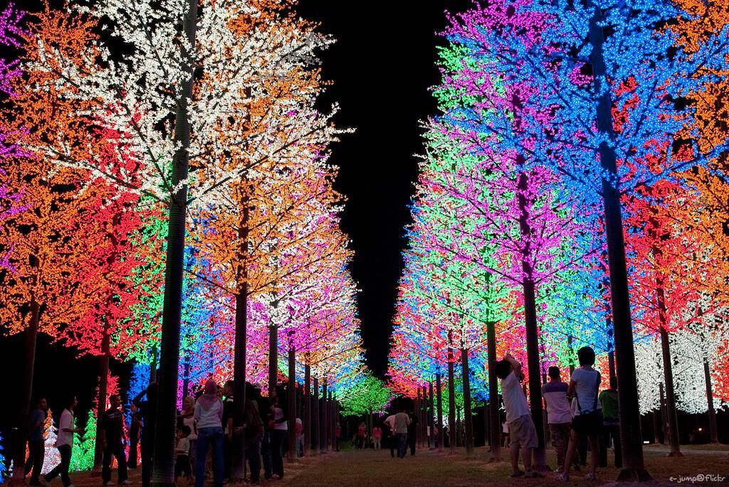 hugs-for-brady-holiday-light-show