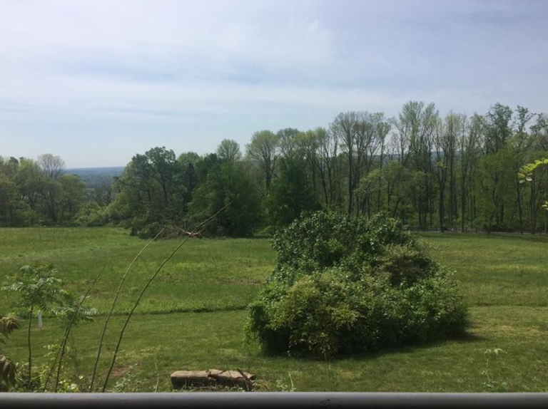 Grant would fund Plainsboro Preserve trail improvements