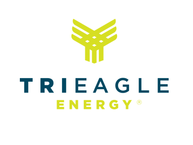 trieagle-logo-vector-300×183