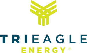 trieagle-logo-vector-300×183
