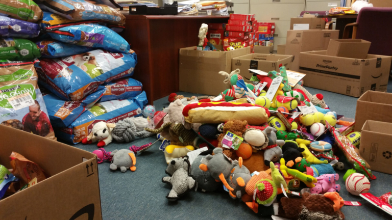 Operation Bark Drop delivers treats to cats and dogs