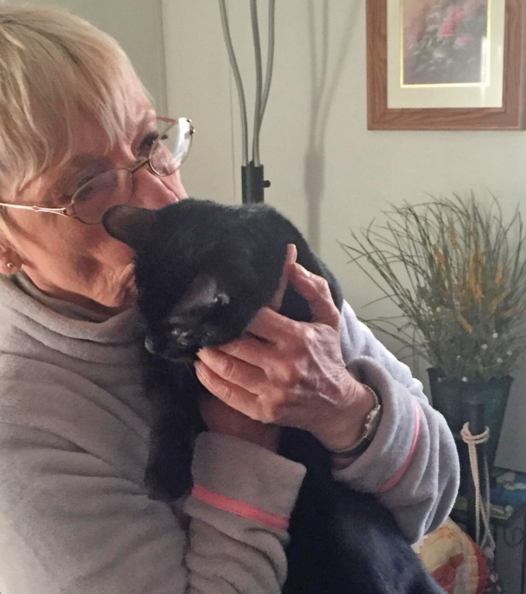 Hamilton vets rescue, help cat with no eyelids