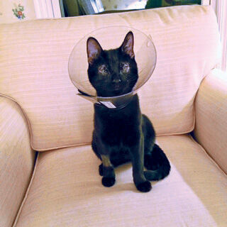 5CE23B8A-8266-40F9-9CB7-684B28D83AC9