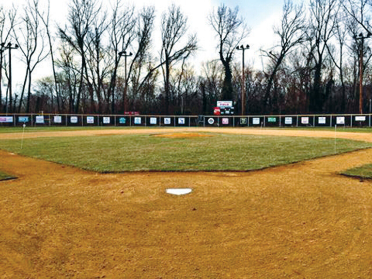 Little Lads and Hamilton PAL form one baseball organization