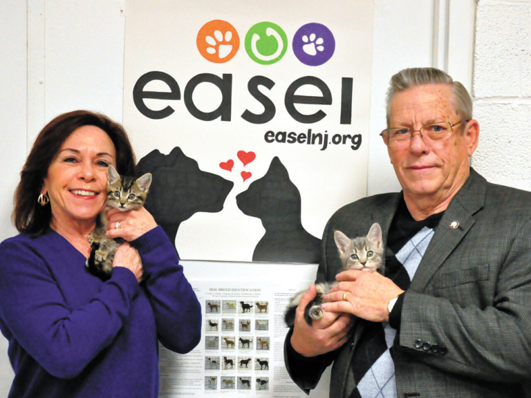 Easel animal rescue chooses new executive director