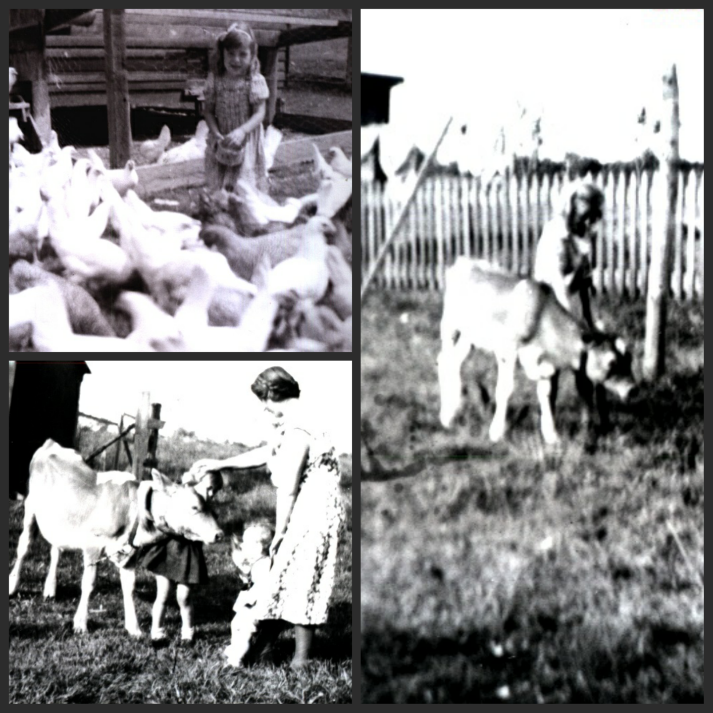 PhotoGrid_1490016503299