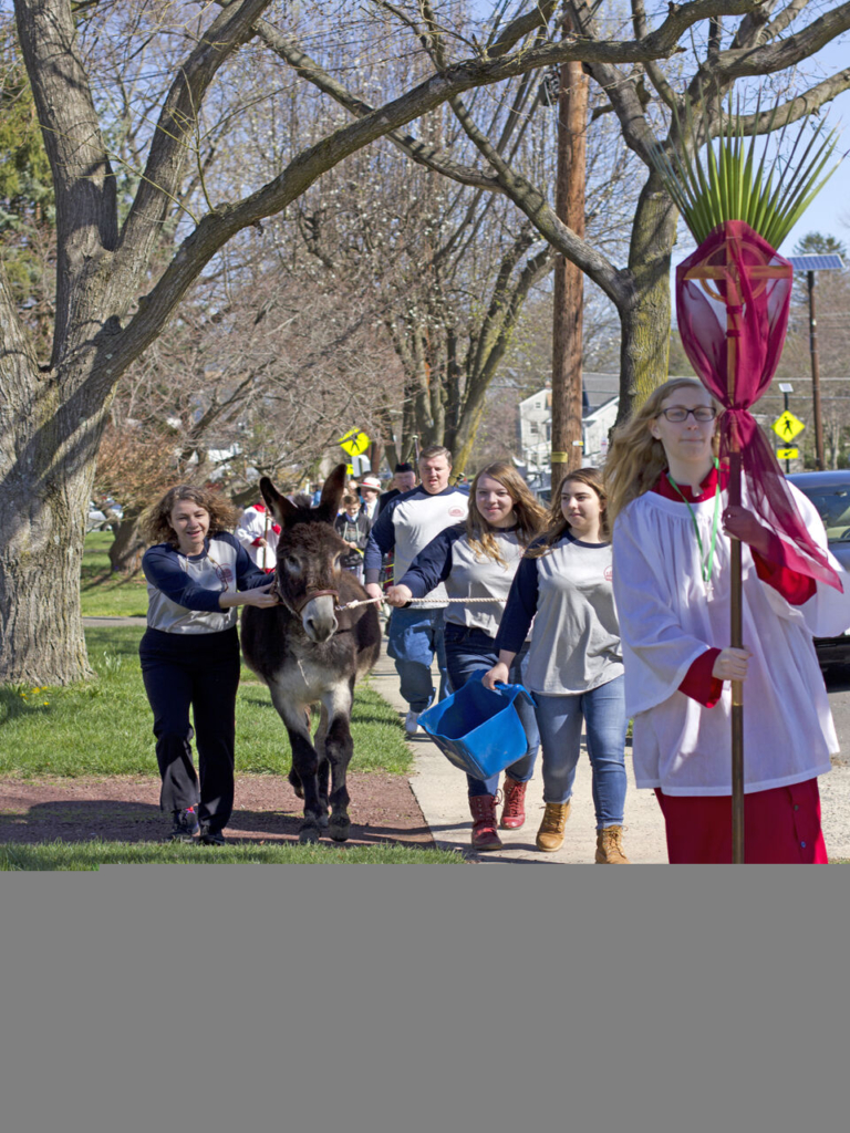 A donkey on Pennington’s South Main Street