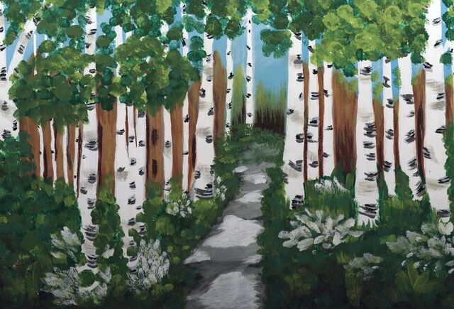 Birch Trees