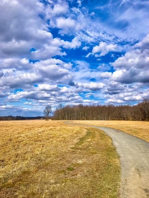 17190777_1447516361934992_8987365466035883841_n