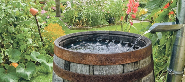 Build a rainwater harvest barrel with the Ewing Green Team