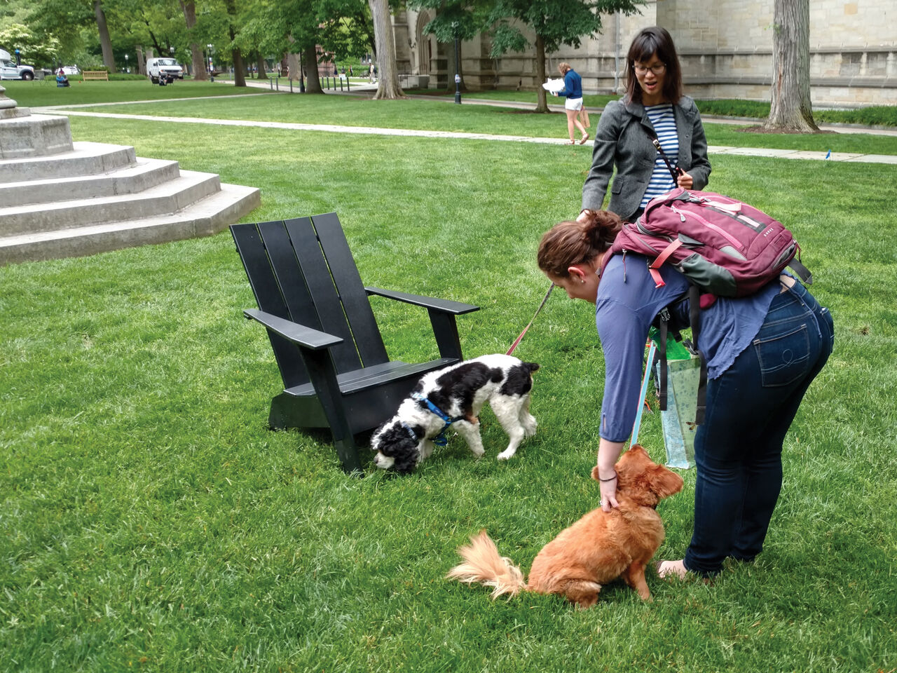 IMG_20170523_133112423_HDR