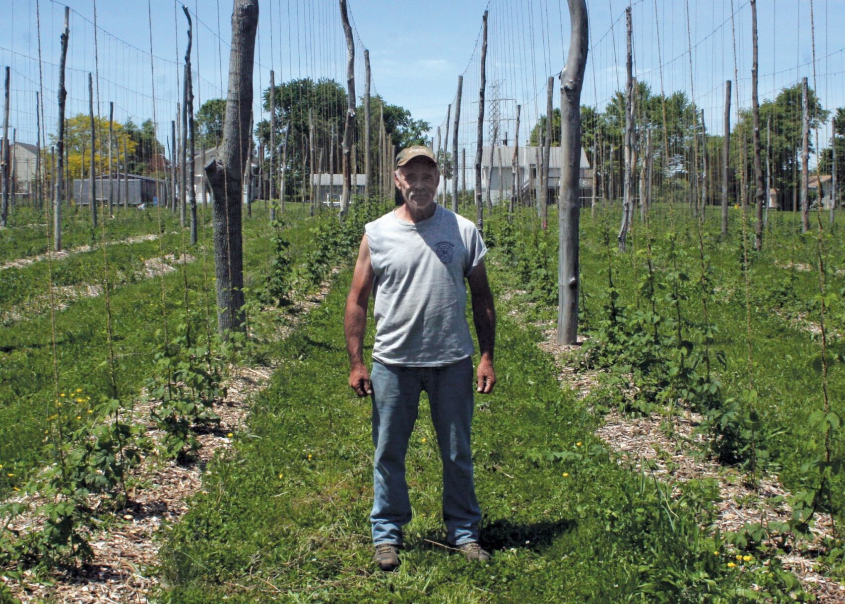 2017 06 HE Mike Kane Hops Farm
