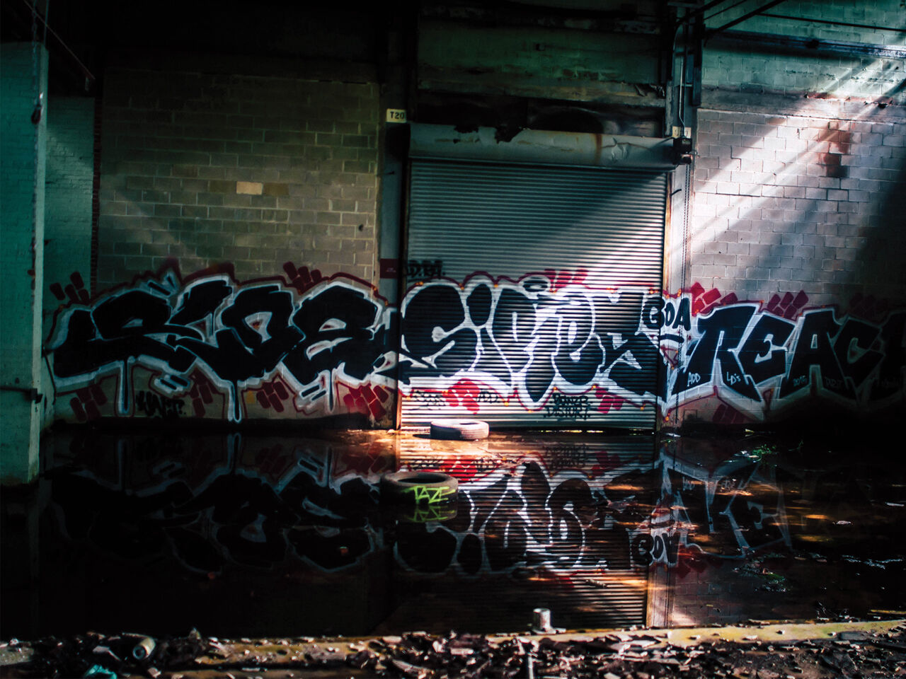 beloved1_habiyb_ali_shuaib-1