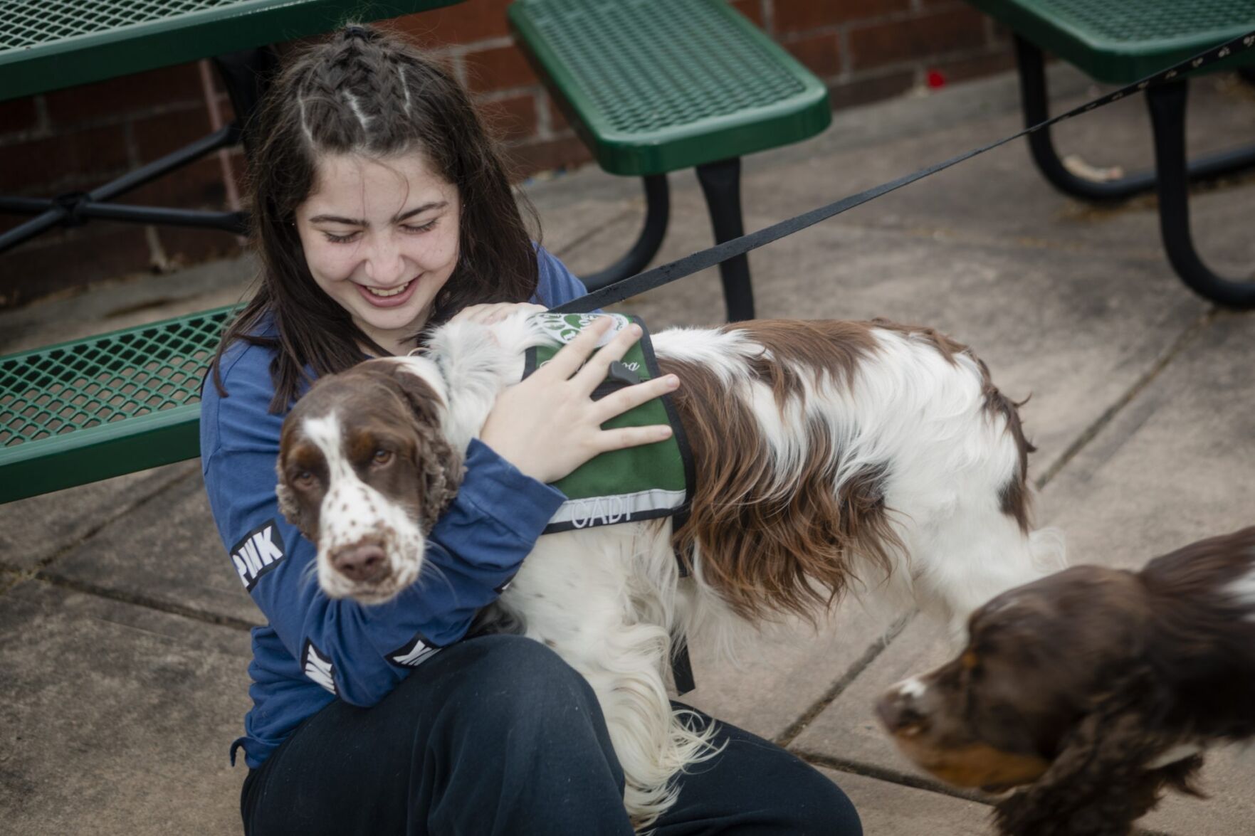 Therapy dogs help Hopewell Valley students ace their final exams