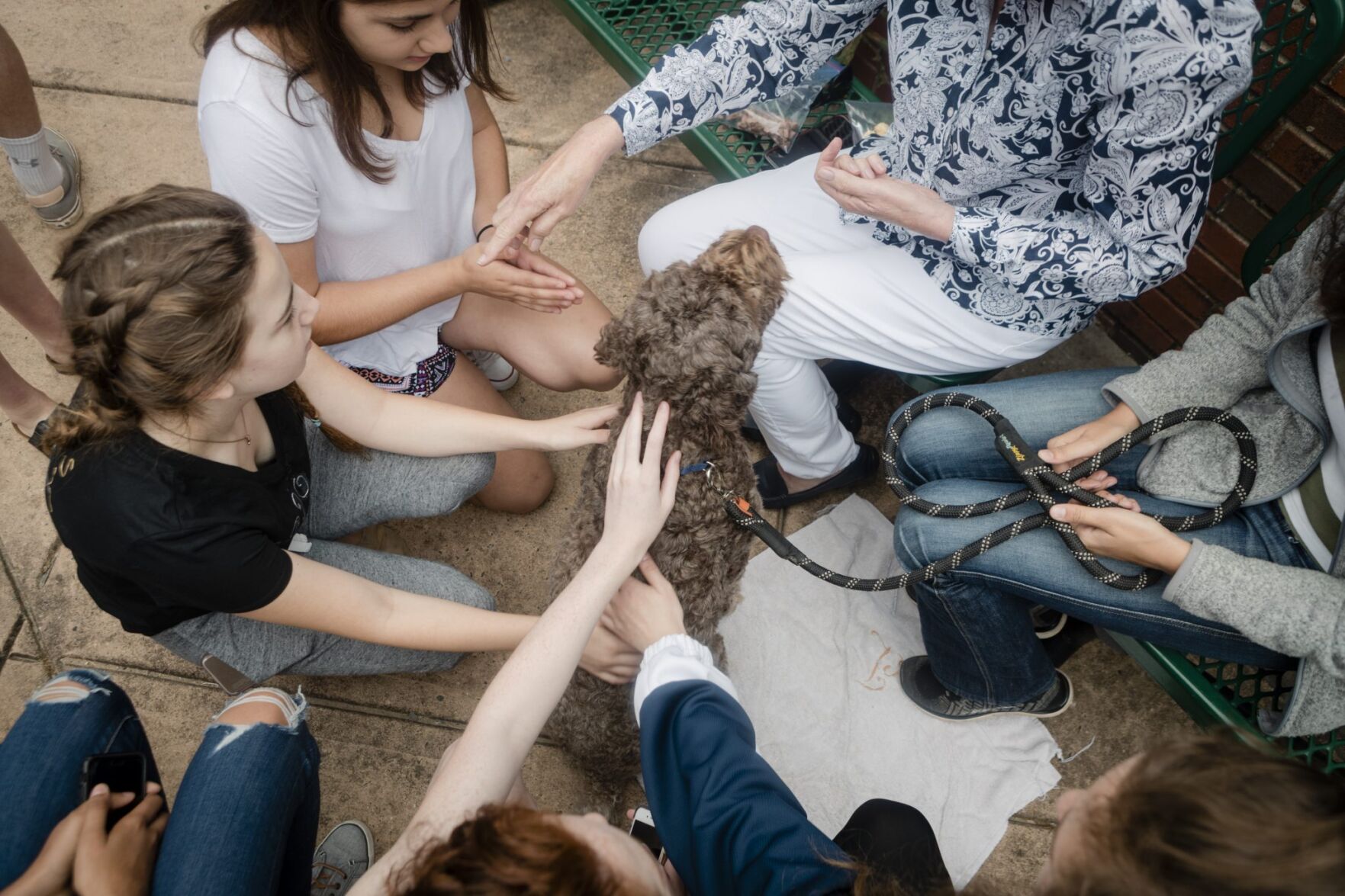 Therapy dogs help Hopewell Valley students ace their final exams