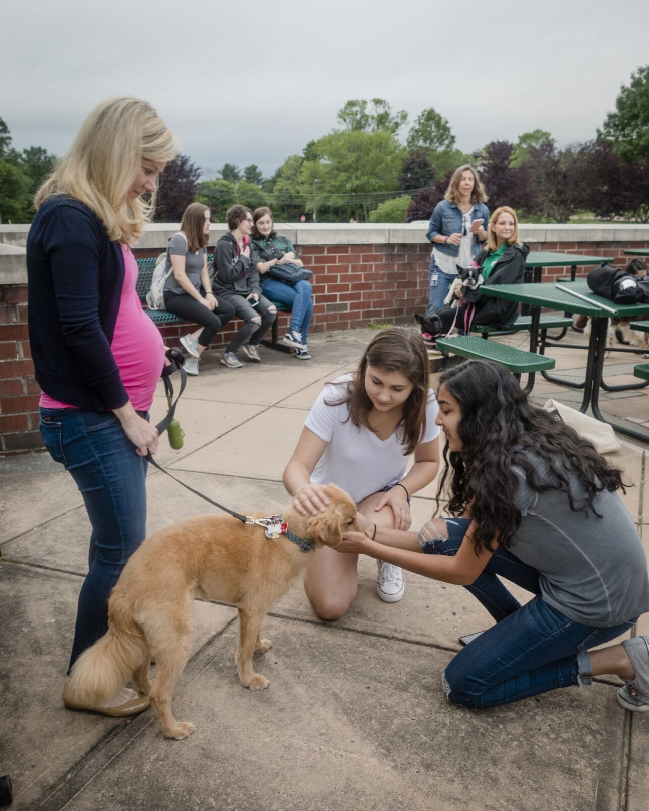 Therapy dogs help Hopewell Valley students ace their final exams