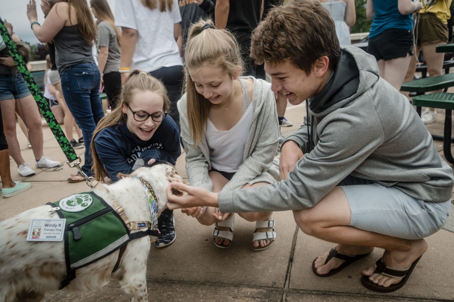 Therapy dogs help Hopewell Valley students ace their final exams