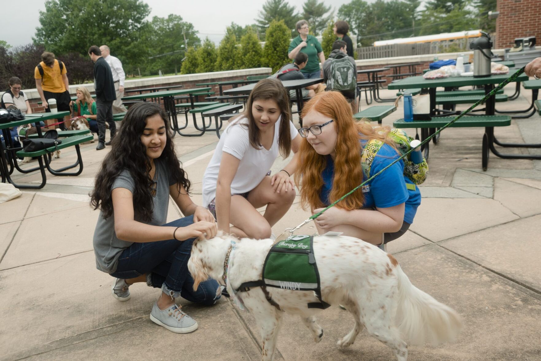Therapy dogs help Hopewell Valley students ace their final exams