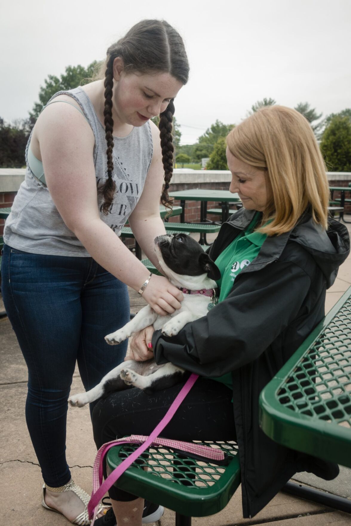 Therapy dogs help Hopewell Valley students ace their final exams