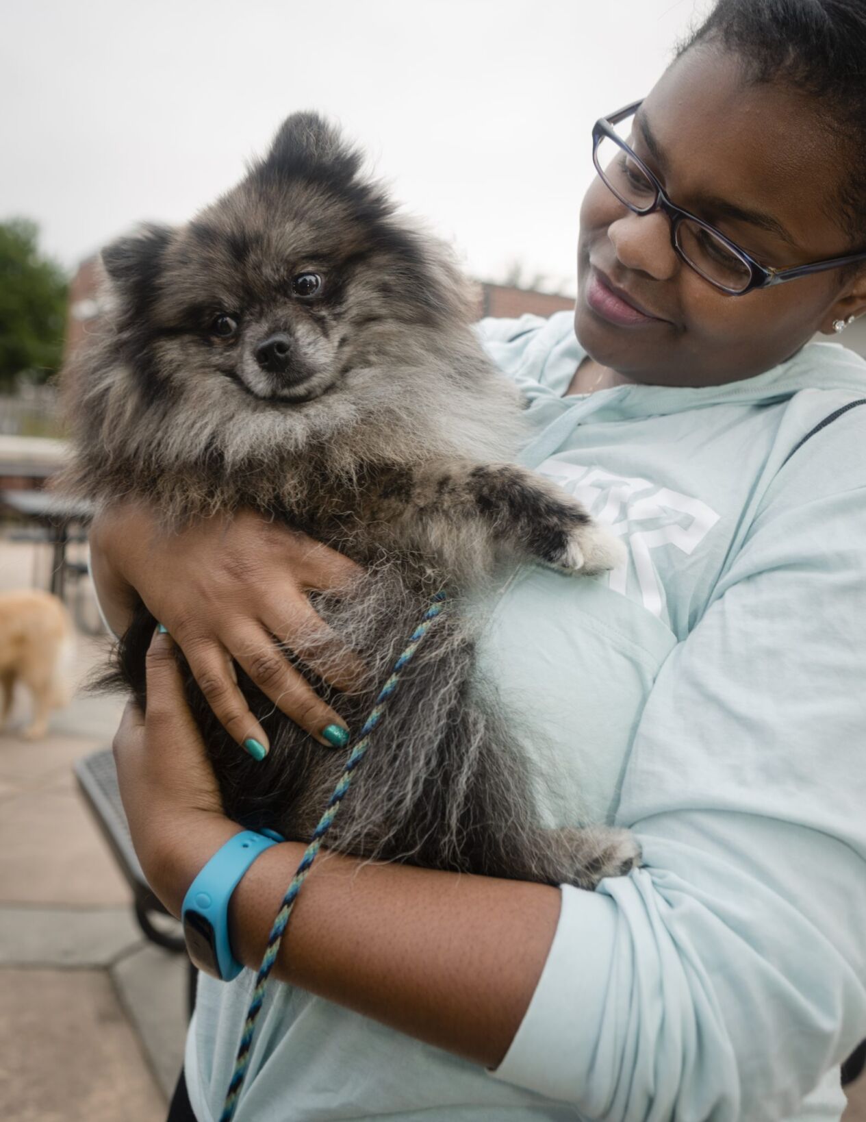Therapy dogs help Hopewell Valley students ace their final exams