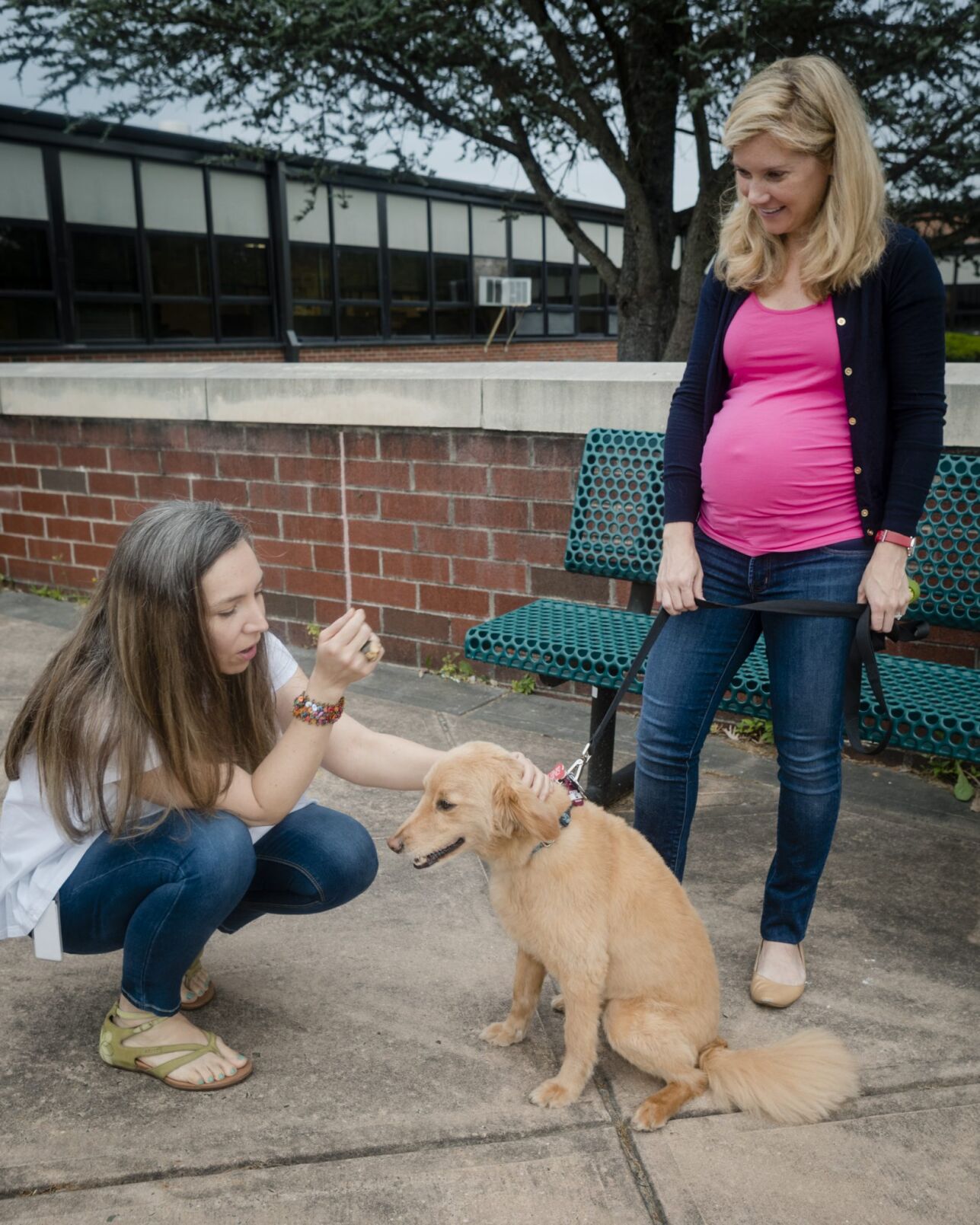 Therapy dogs help Hopewell Valley students ace their final exams