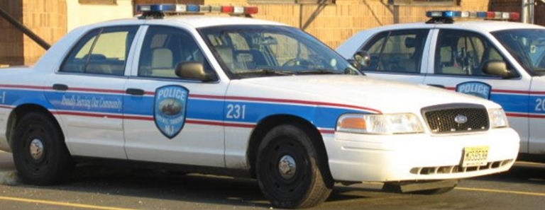 Hopewell Township man killed while walking on Route 29