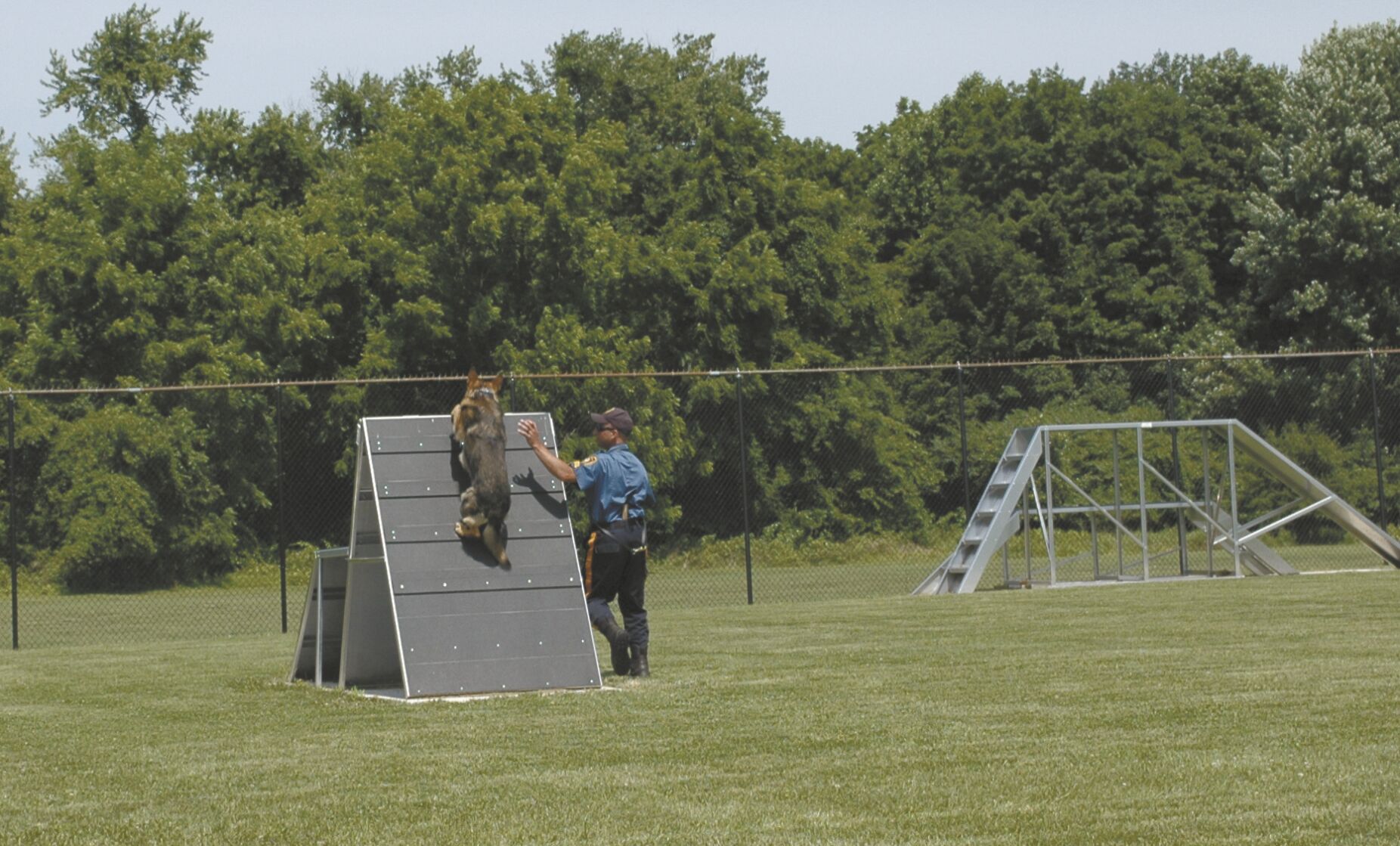Sgt. Matt Solovay and K-9 Harris from Princeton PD on the agility course