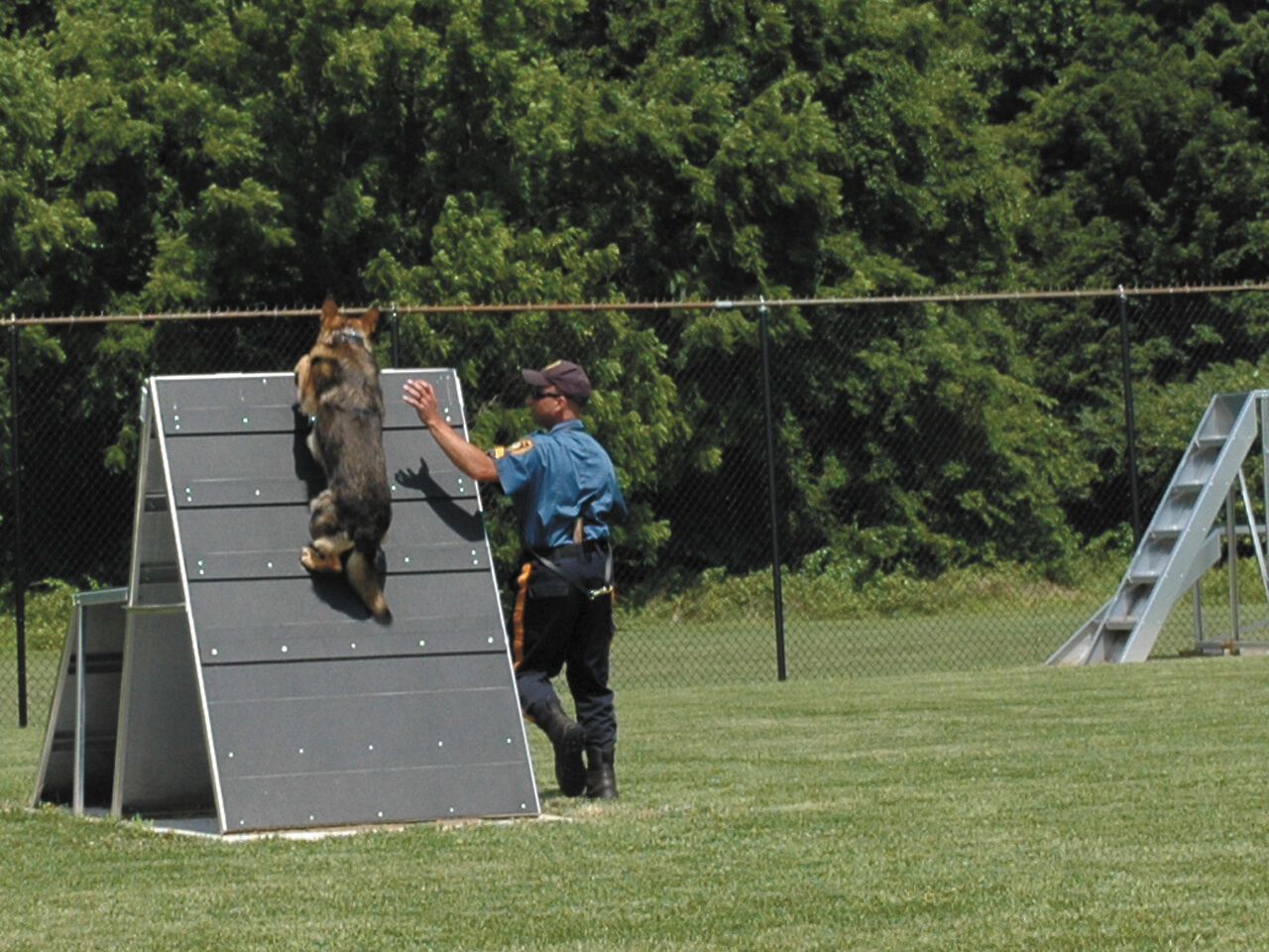 Sgt. Matt Solovay and K-9 Harris from Princeton PD on the agility course