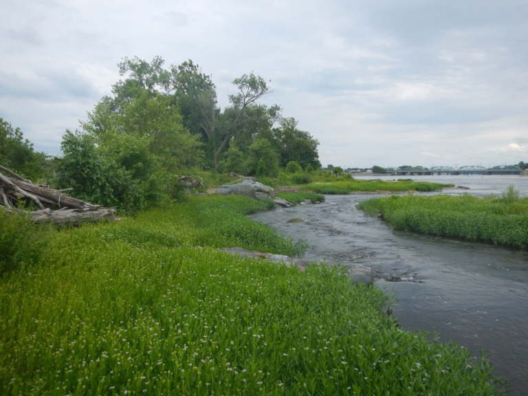 Discovery on the Delaware: Exploring the famous river’s forgotten islands