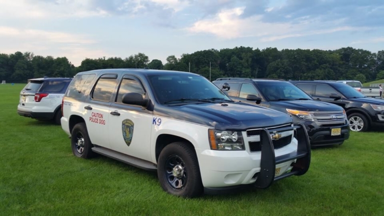 Police break up armed robbery in West Windsor