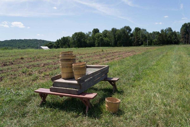 Howell Farm to harvest potatoes for Greater Mercer Food Cooperative