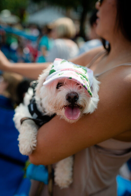 Photos: How Princeton celebrated the solar eclipse