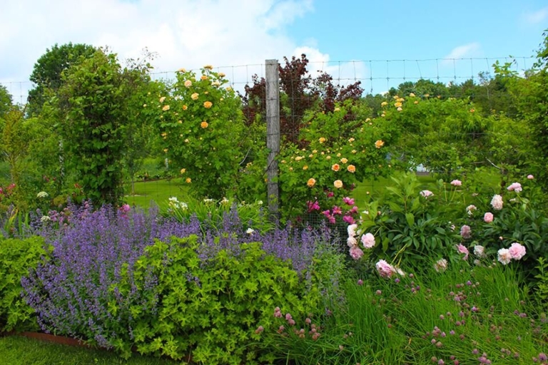 Mercer County gardener training to start this month