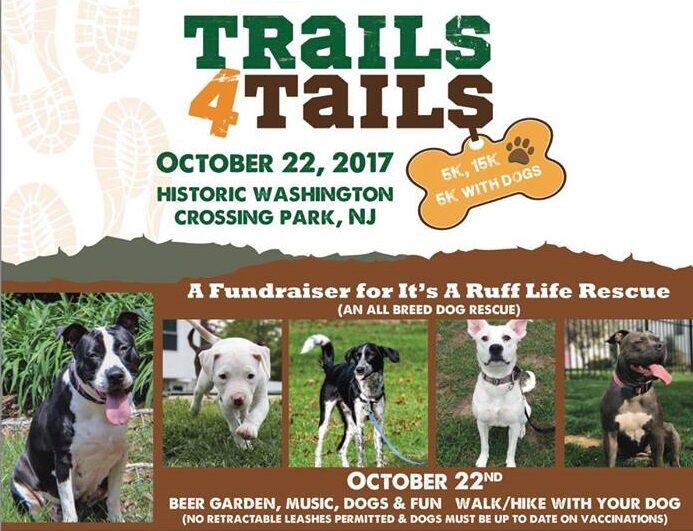 20375877_729104653942529_7607972038429715223_n