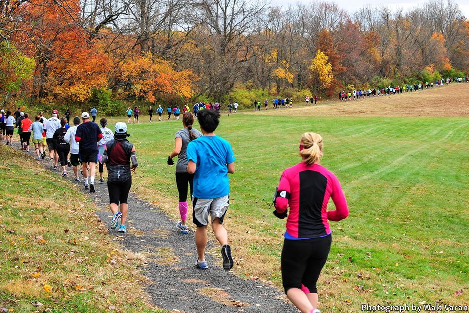 1461808_577140562340206_216897511_n