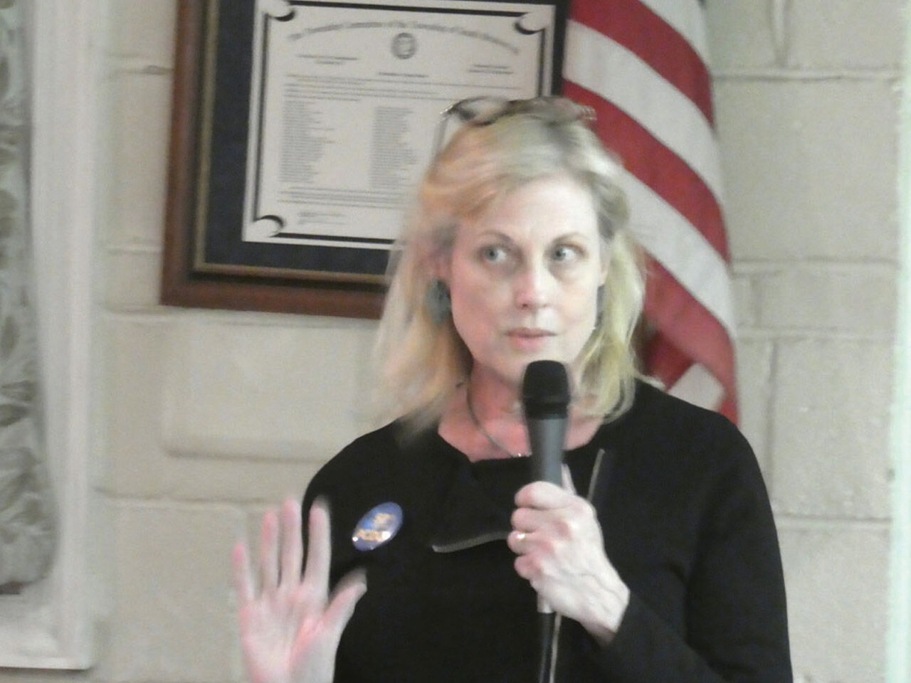 Scotia — May 31 week before primary at Princeton Dem at Chestnut St Fire Station