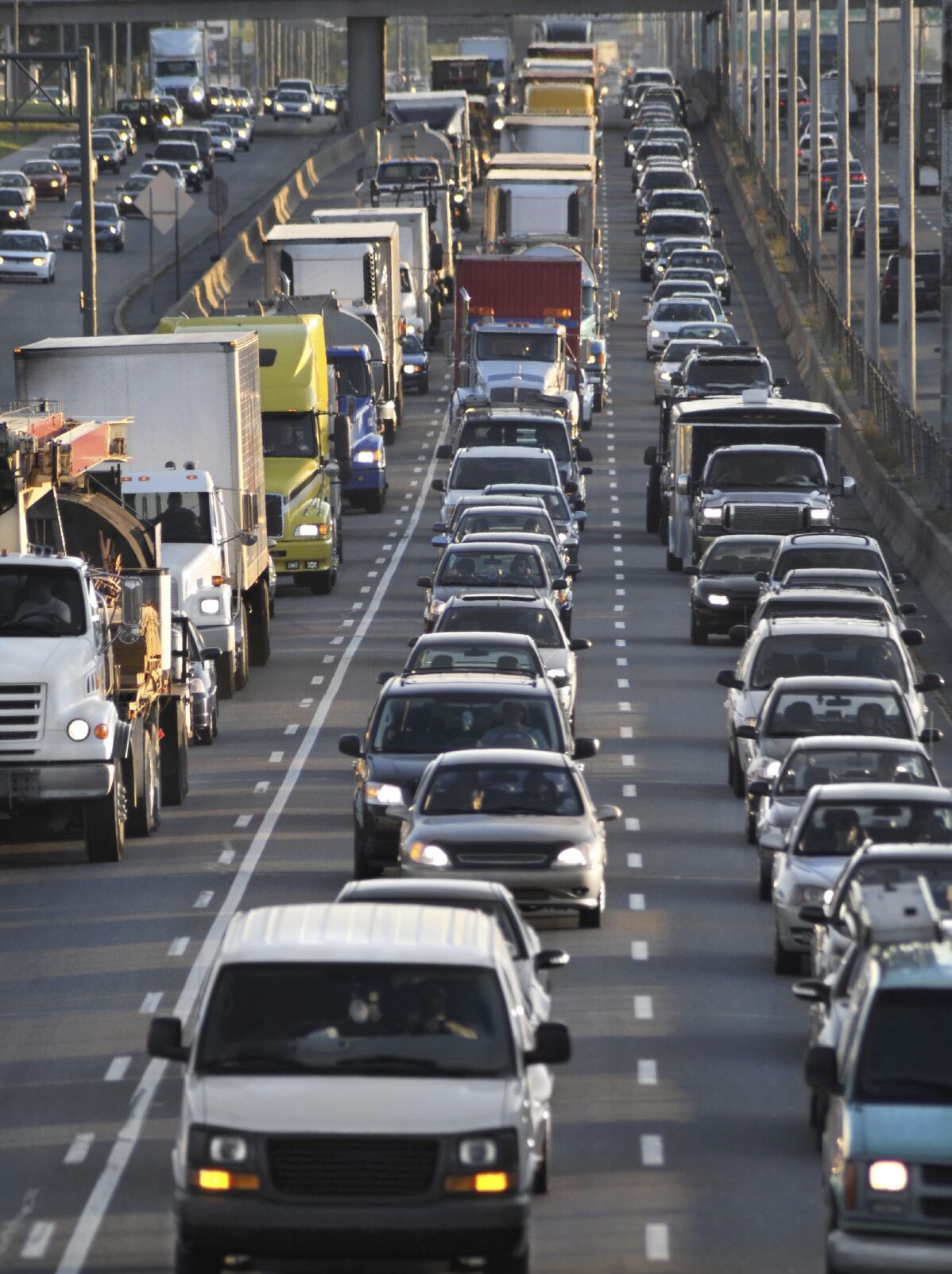 iStock_000008047298Medium