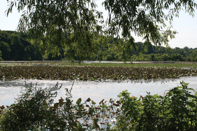 Tulpehaking Nature Center hosts Fishing Day at Spring Lake