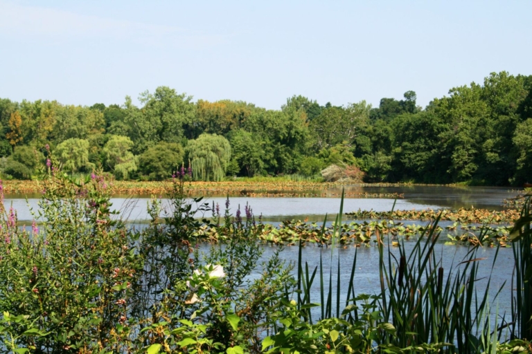 Mercer County awarded grant to restore Hamilton wetlands
