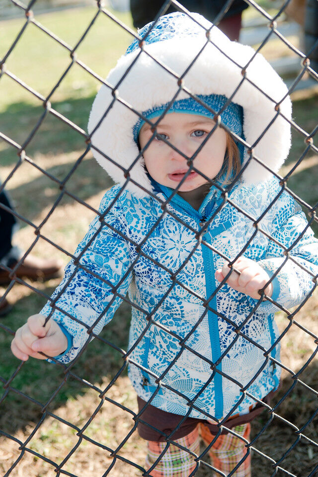 Steinert Vs Hamilton West – Thanksgiving Day Football-65-X2