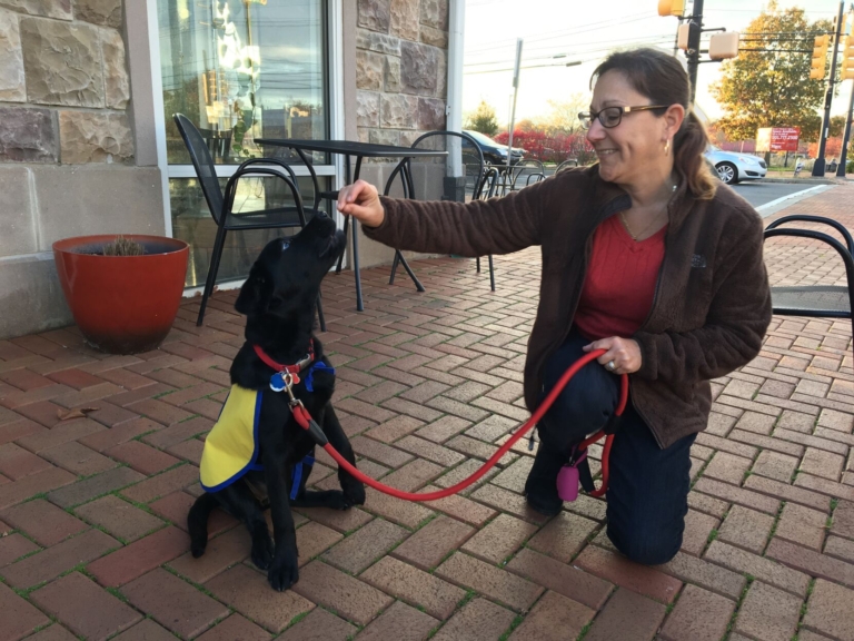 Puppy love for Plainsboro’s Canine Companion in training